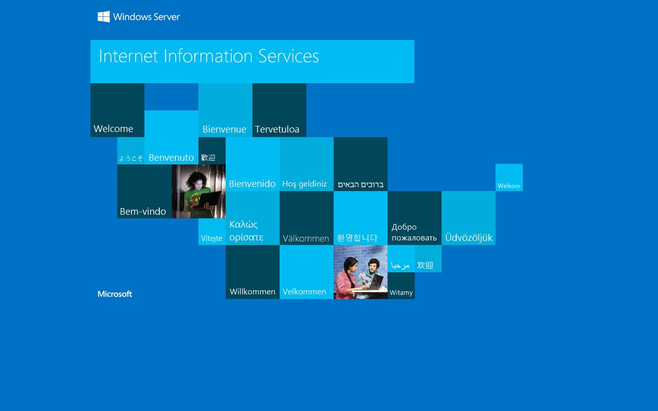 Wayne County online inmate inquiry system for searching recent bookings